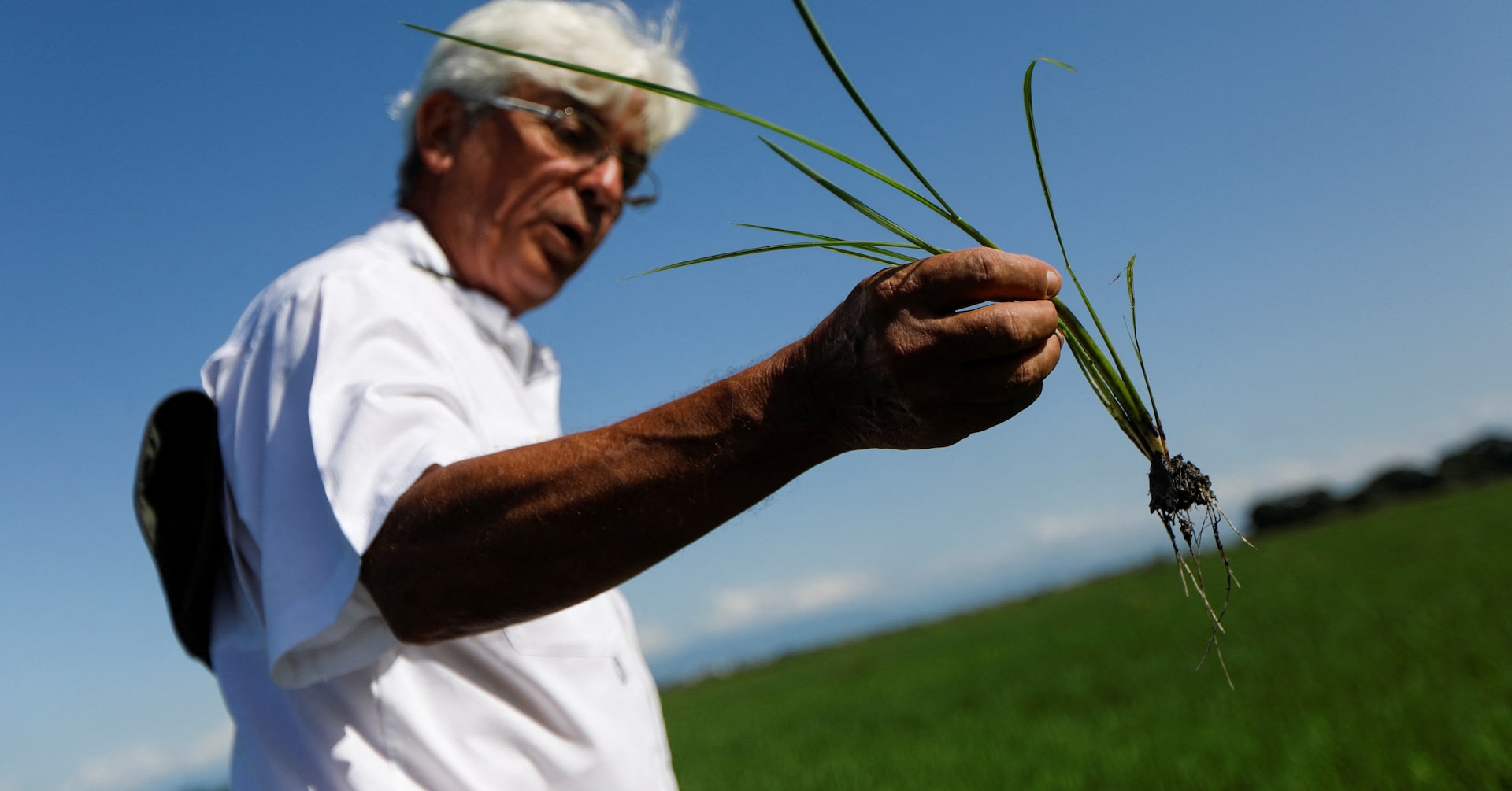 Venezuela's rice, corn production rise as buyers loan farmers supplies