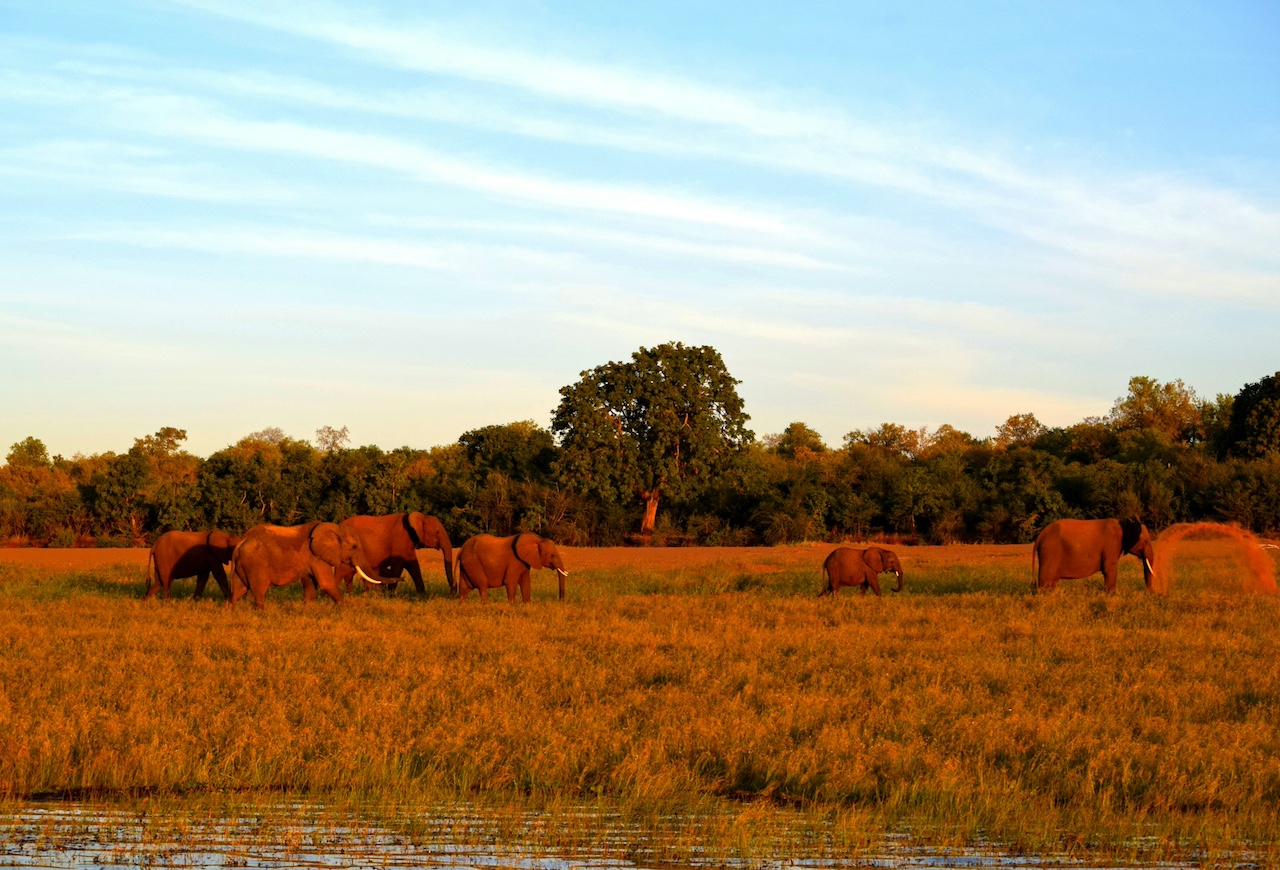 BII provides $10m loan to Zimbabwean bank to support agriculture